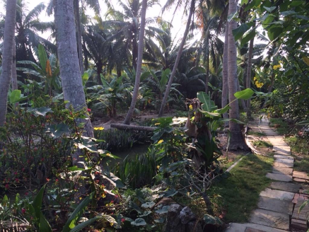 Charming Countryside Homestay Ben Tre Екстер'єр фото